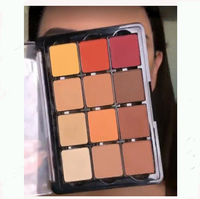 Glitter Metallic Mixed Color Eye Shadow Palette Elegant Satin Matte Mineral Ingredient