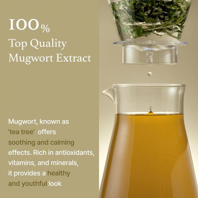 Male Mugwort Extract Serum for Soothing Sensitive Skin Reducing Redness and Hydrating 1