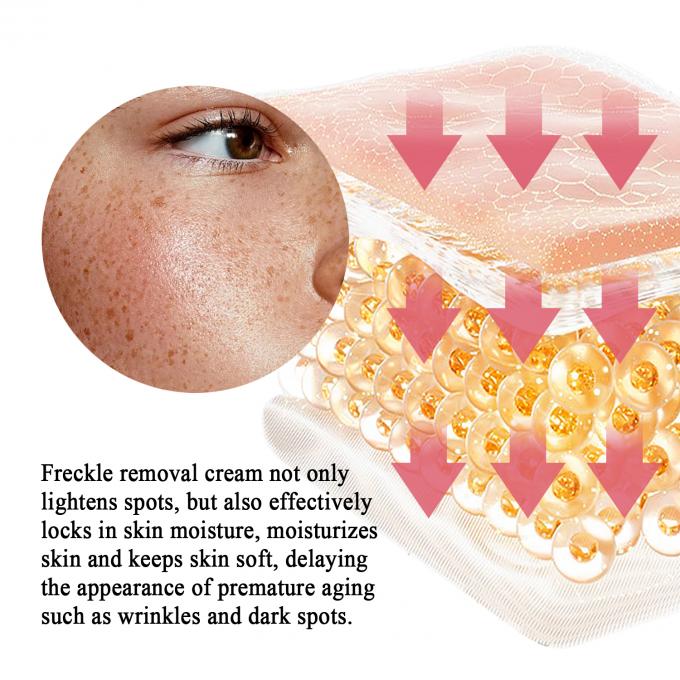 Retinol Facial Cream for Freckle Removal Customized Fragrance and Private Label Offered 4