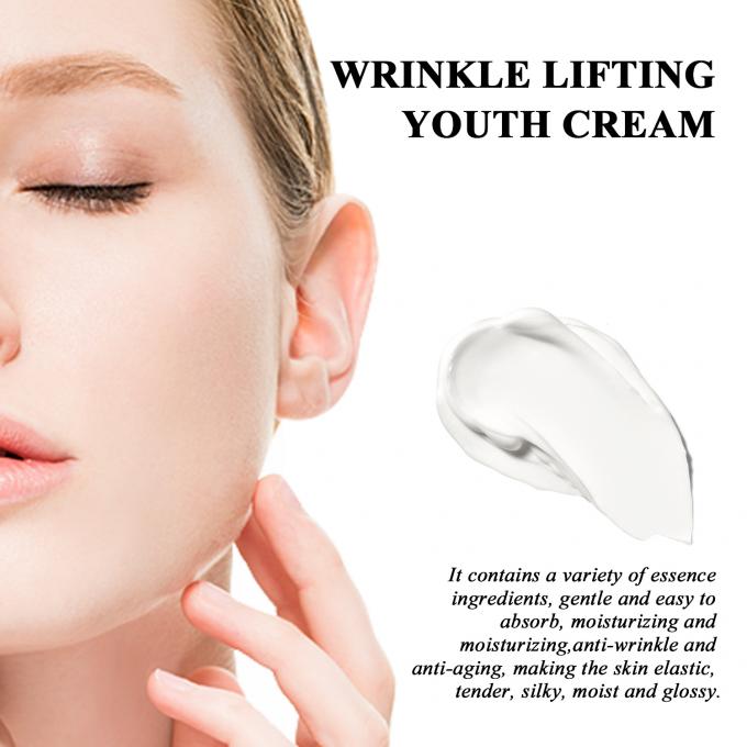 Regular Size Anti Aging Moisturizer Organic Natural Wrinkle Lifting Cream for Adults 4