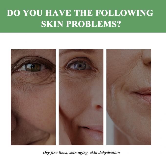 Regular Size Anti Aging Moisturizer Organic Natural Wrinkle Lifting Cream for Adults 6