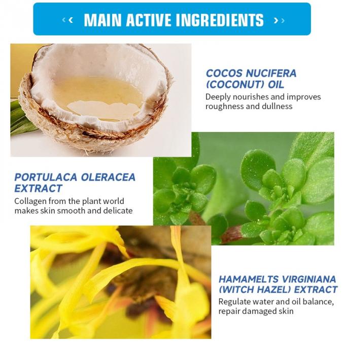 Improve Immunity Ginger Foot Patch for Promoting Blood Circulation and Detoxifying Toxins 7