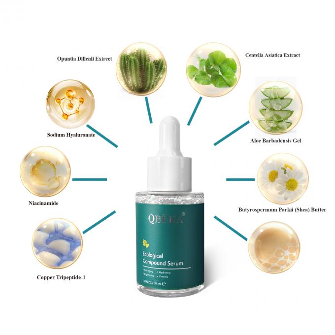 Multi-Effect Moisture and Oil Serum The Ultimate Skincare Solution for Regular Size 10