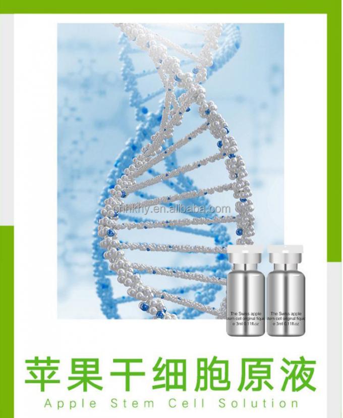 Emu Oil-Enriched Swiss Apple Stem Cell Serum for Anti-Aging and Anti-Wrinkle Treatment 2