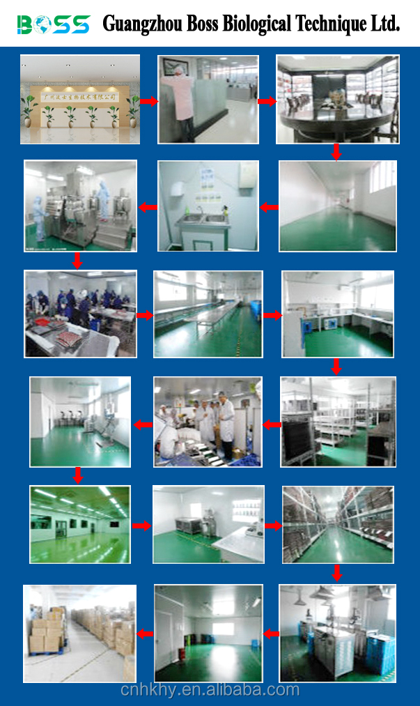 Waterproof OEM for Permanent Makeup Cosmetics Mouth Care Global Market Leader 8